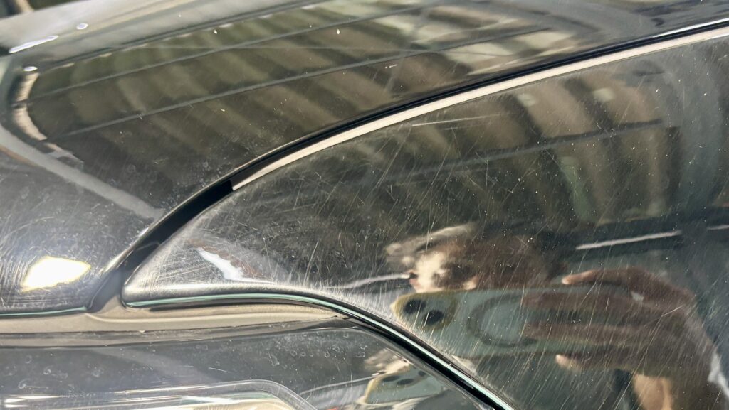 ボディに付着した傷と水垢の状態